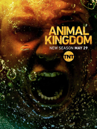 voir serie Animal Kingdom saison 5