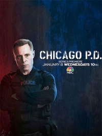 voir serie Chicago Police Department saison 12