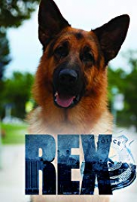 voir serie HUDSON ET REX saison 4