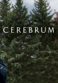 voir serie Cerebrum saison 3