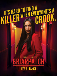 voir serie Briarpatch saison 1