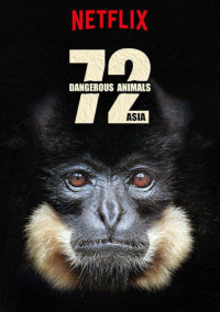 voir serie 72 animaux dangereux en Asie saison 1