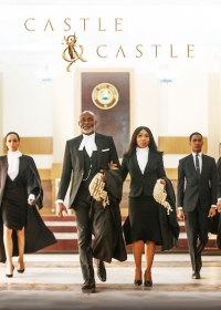 voir serie Castle & Castle saison 2
