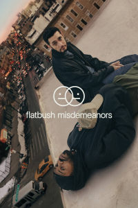 voir serie Flatbush Misdemeanors saison 1