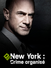 voir serie New York Crime Organisé saison 5