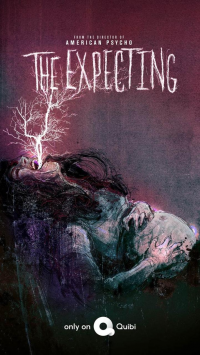 voir serie The Expecting saison 1