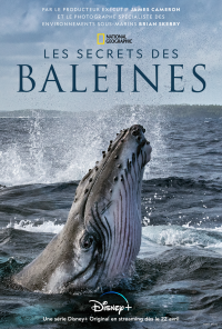 voir serie Les Secrets des baleines saison 1