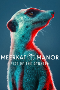 voir serie Meerkat Manor : Rise of the Dynasty saison 1