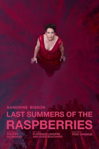 voir serie Le temps des framboises saison 1