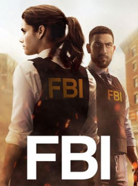 voir serie F.B.I. saison 1
