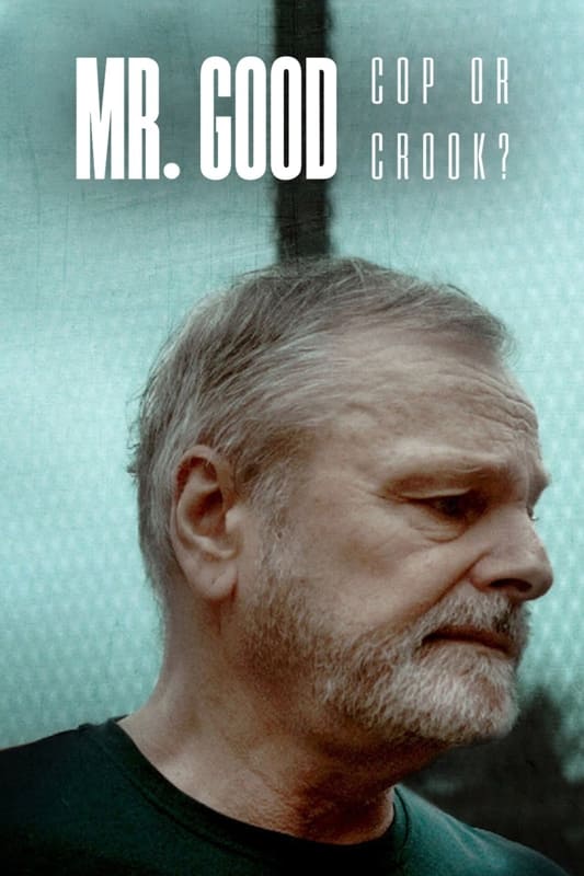 voir serie Mr. Good : Flic ou baron ? saison 1