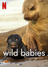 voir serie Wild Babies : Petits et Sauvages saison 1