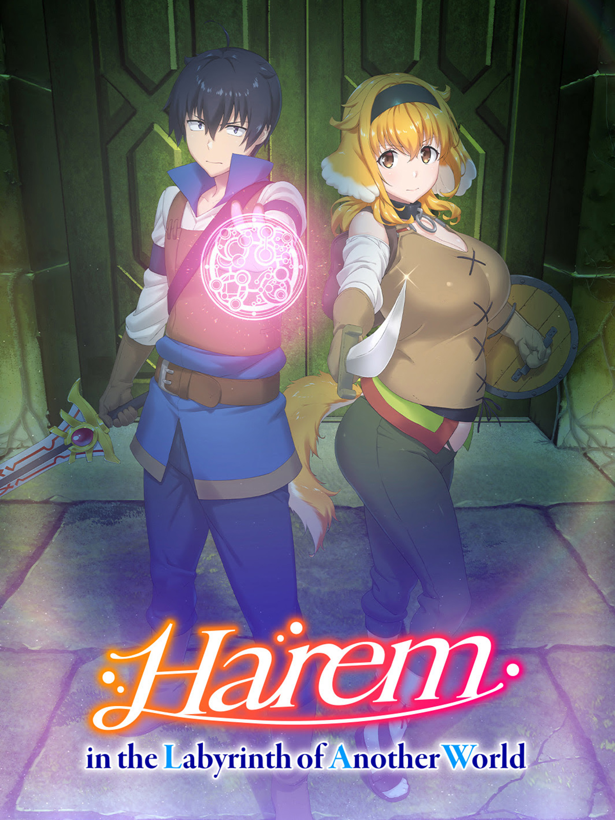voir serie Harem in the Labyrinth of Another World saison 1