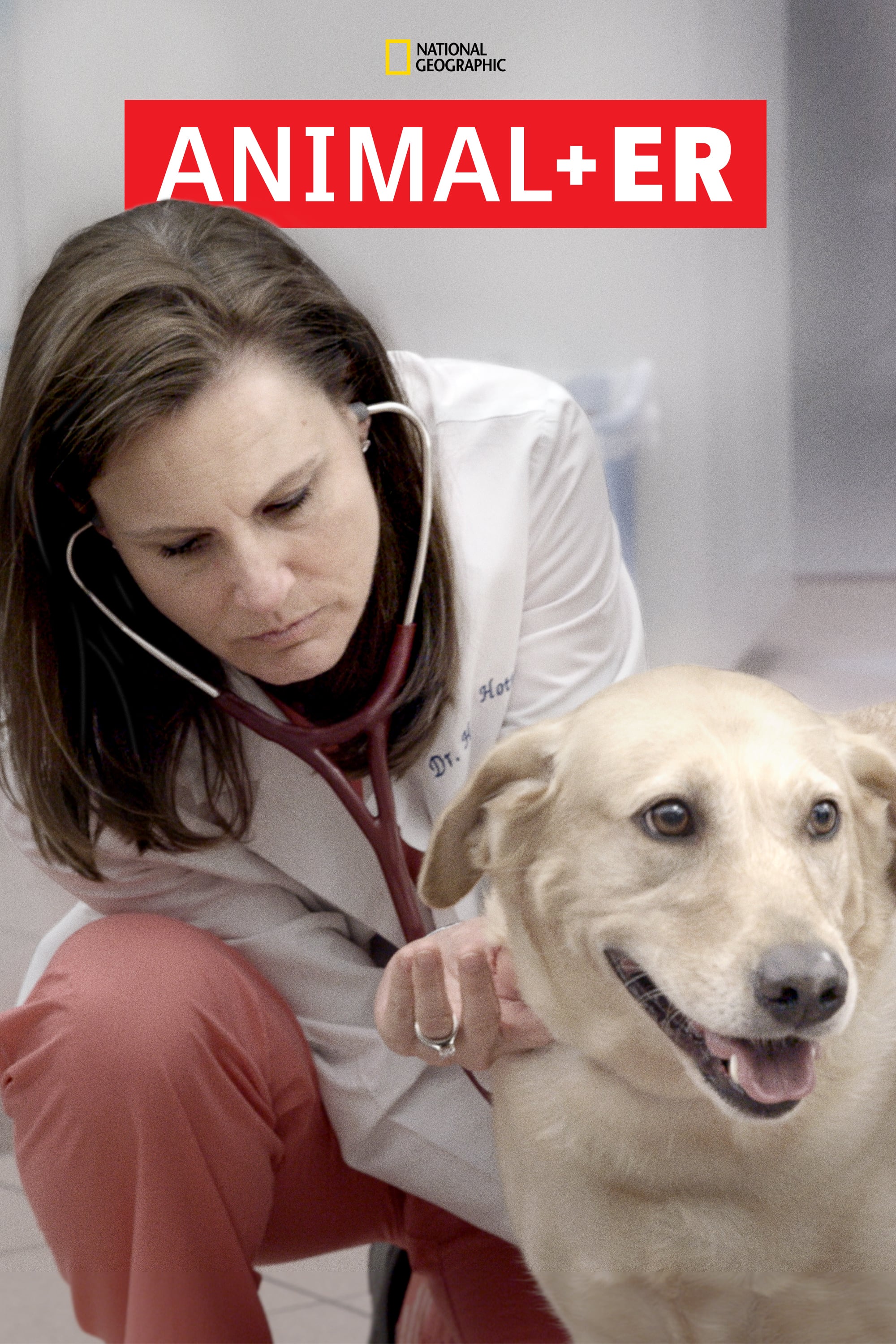 voir serie Urgences Animales saison 2