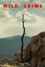 voir serie Wild Crime saison 1