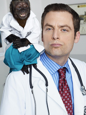 voir serie Animal Practice saison 1