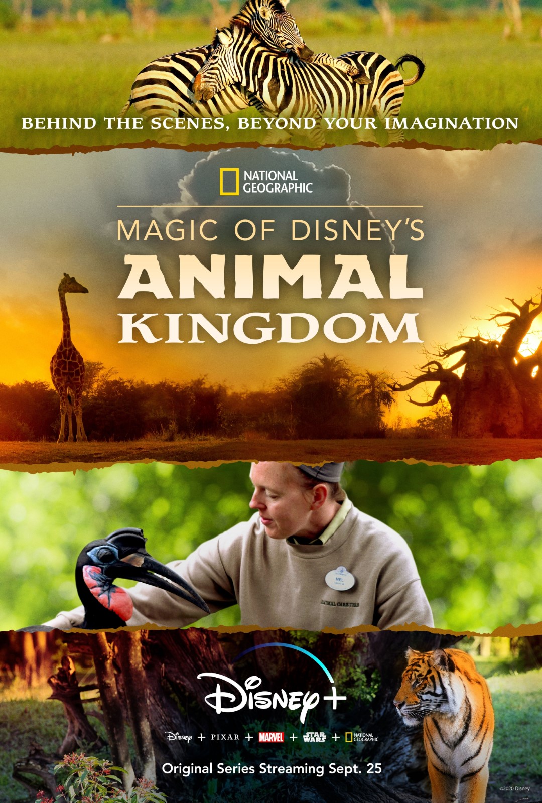 voir serie Au cœur de Disney’s Animal Kingdom saison 1