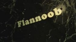 voir serie Flannoob saison 1