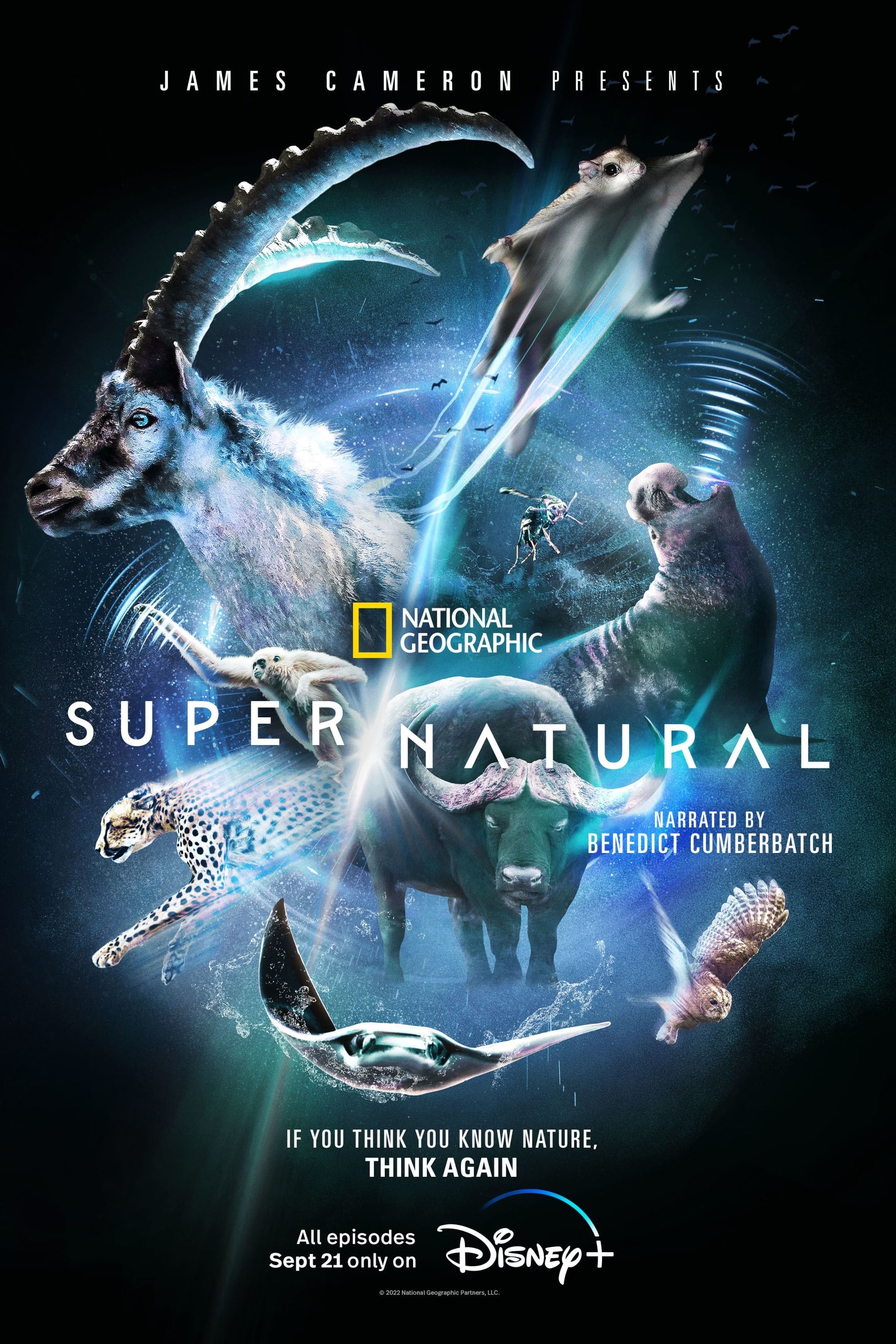 voir serie Les pouvoirs extraordinaires de la nature saison 1