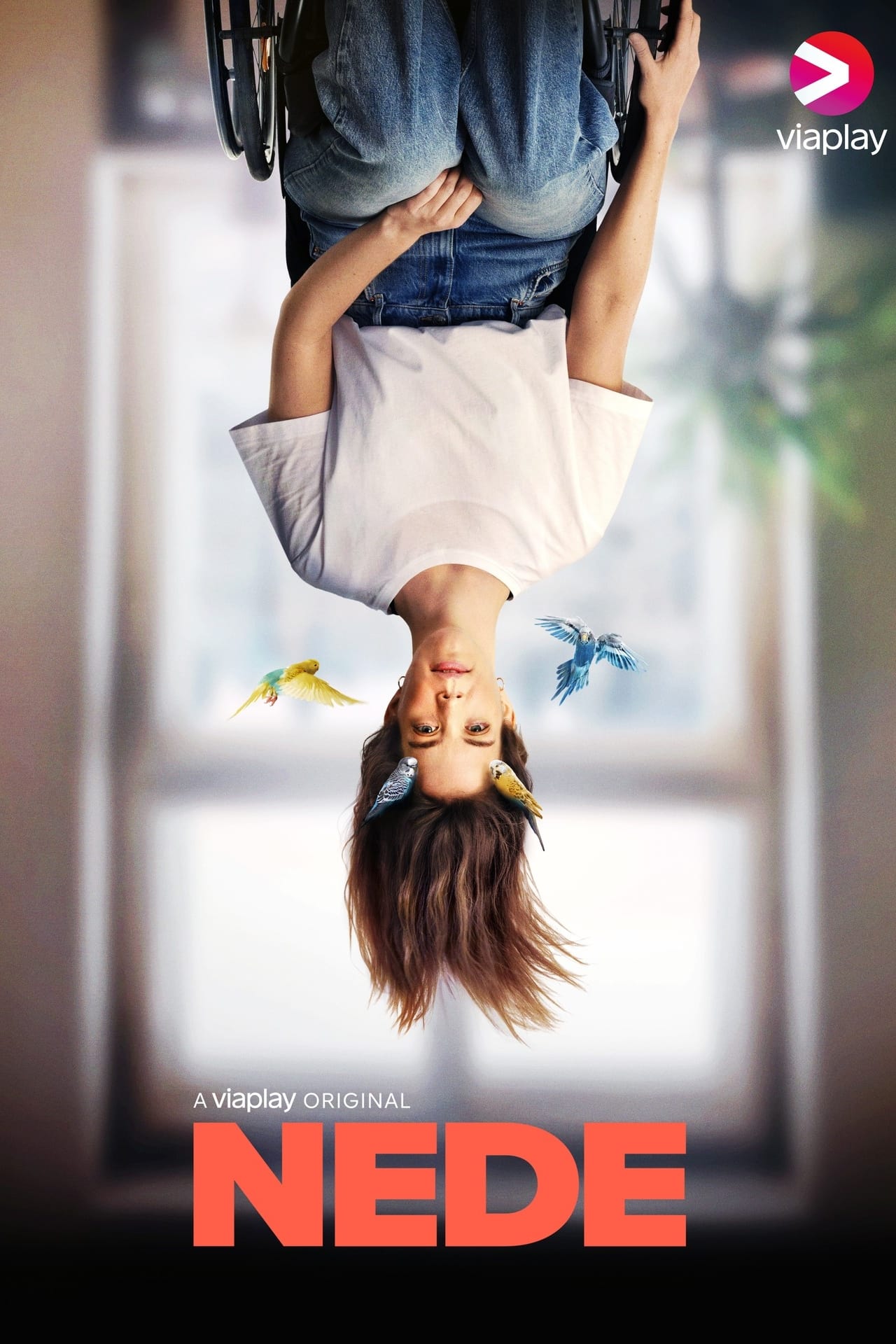voir serie Bellow saison 1