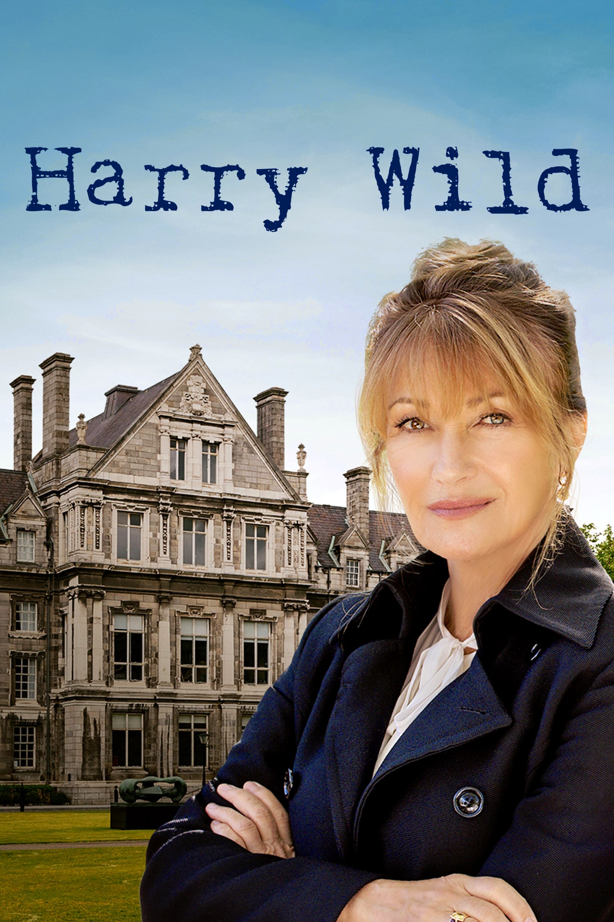 voir serie Harry Wild saison 1