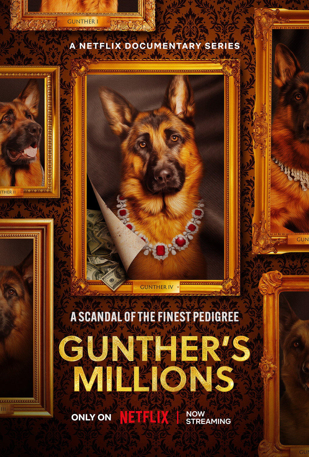 voir serie Gunther, le chien qui valait des millions saison 1