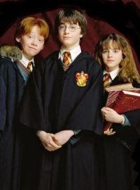 voir serie Harry Potter Series saison 1