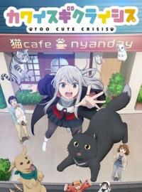voir serie Too Cute Crisis saison 1