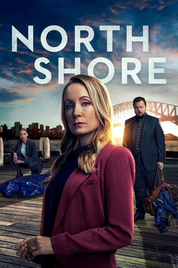 voir serie North Shore saison 1