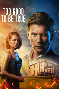 voir serie Too Good to Be True saison 1