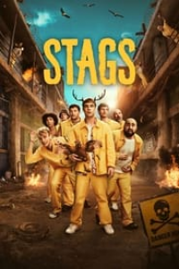 voir serie Stags saison 1