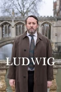 voir serie Ludwig saison 1