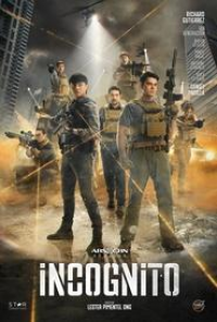 voir serie Incognito saison 1