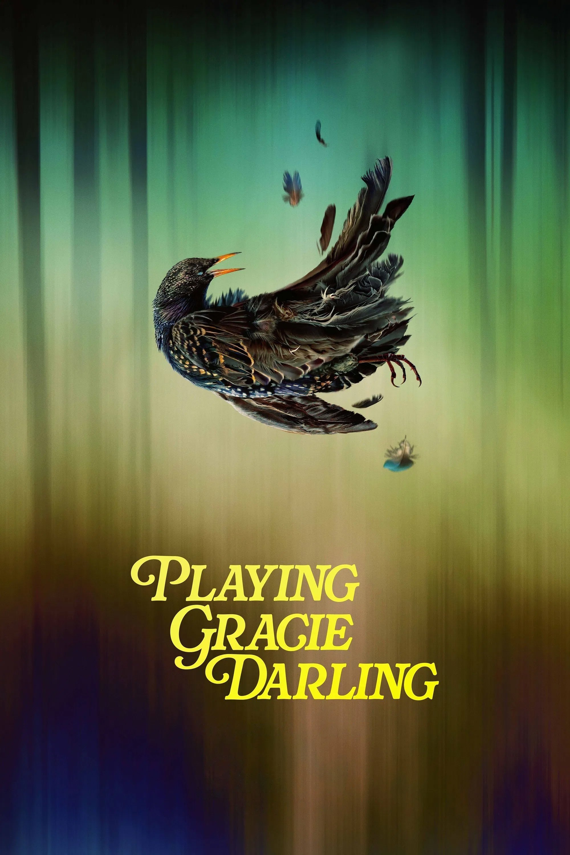 voir serie Playing Gracie Darling saison 1