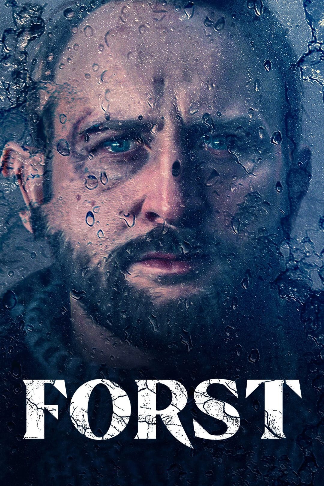voir serie Détective Forst saison 1