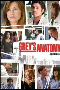 voir serie Grey's Anatomy saison 0