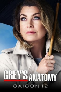 voir serie Grey's Anatomy saison 12