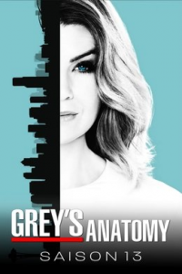 voir serie Grey's Anatomy saison 13
