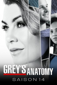 voir serie Grey's Anatomy saison 14