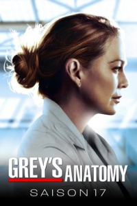 voir serie Grey's Anatomy saison 17