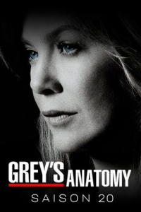 voir serie Grey's Anatomy saison 20