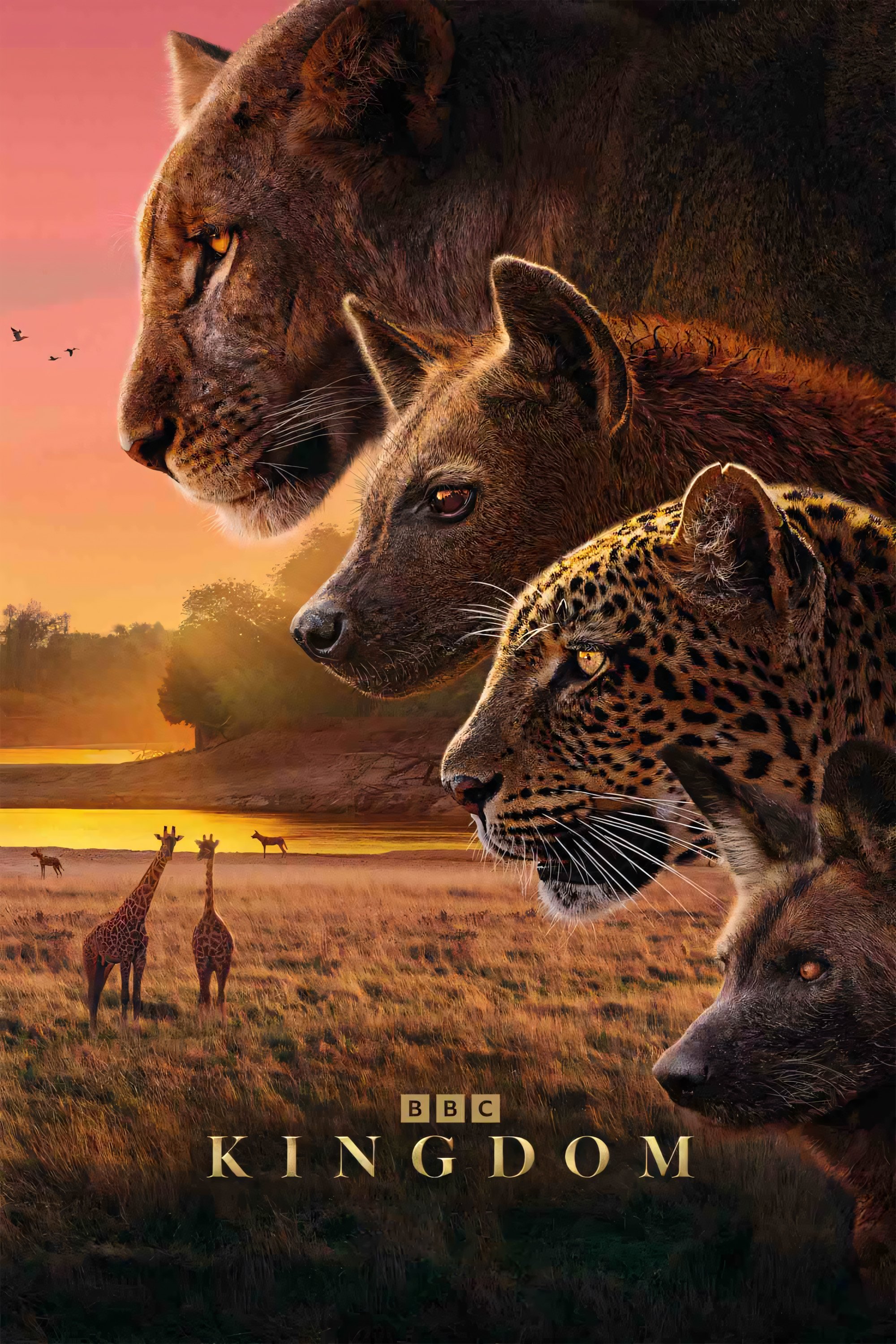 voir serie Kingdom saison 1