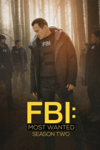voir serie Most Wanted Criminals saison 2