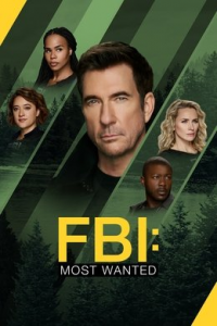 voir serie Most Wanted Criminals saison 6