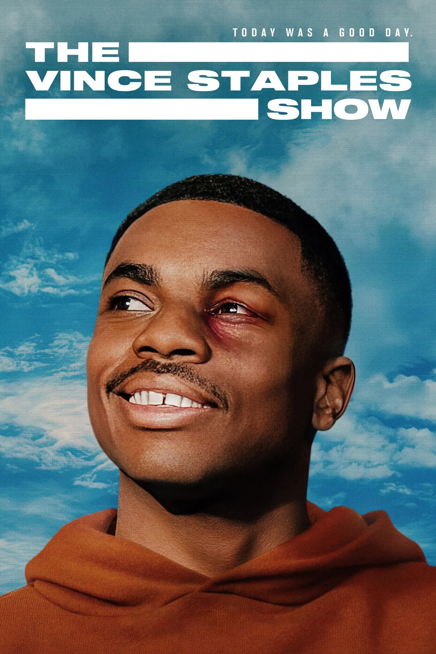voir serie The Vince Staples Show saison 1