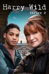 voir serie Harry Wild saison 2
