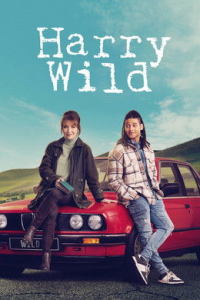 voir serie Harry Wild saison 3