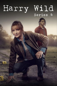 voir serie Harry Wild saison 4