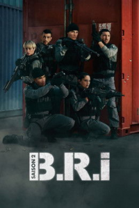 voir serie B.R.I. saison 2
