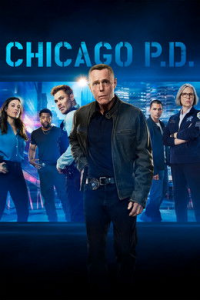 voir serie Chicago Police Department saison 13